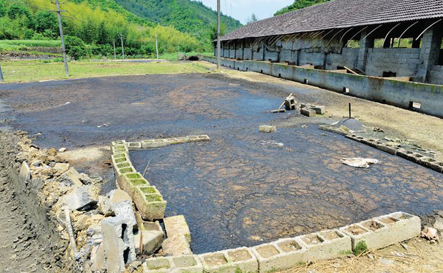 豬糞處理降本增效：干濕分離機如何扭轉養殖場運維困局(圖1)